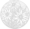 Edelweiss2
